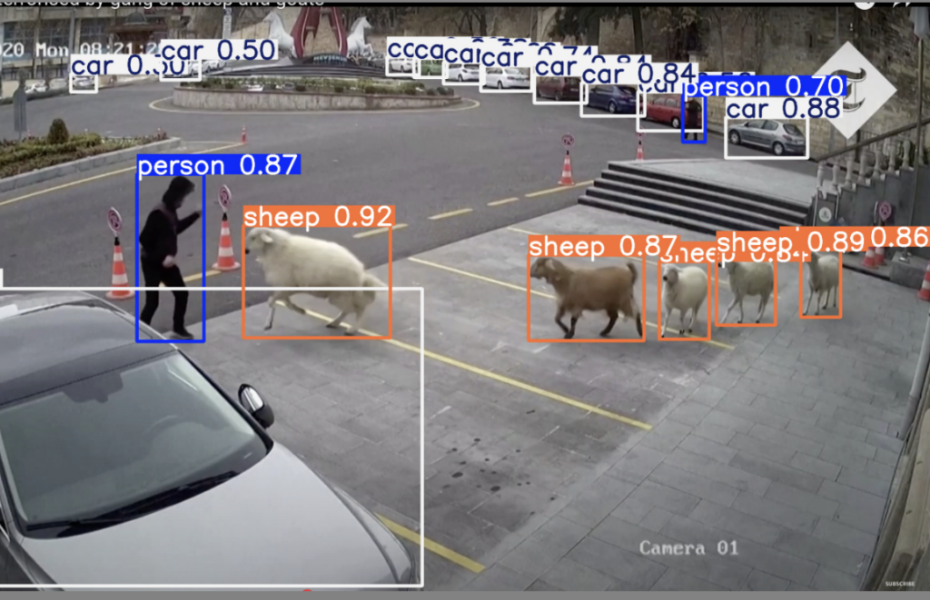 urban wildlife tracking